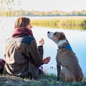 Uomo e cane: rapporto a volte stravagante! – Istruzioni per comprendersi [Gudo]