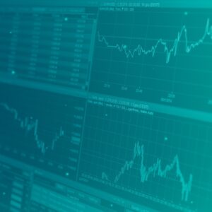 L'economia spiegata facile [Magenta]