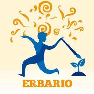 Piccolo Erbario D'Arte - Illustrazione e Botanica [Rosate]